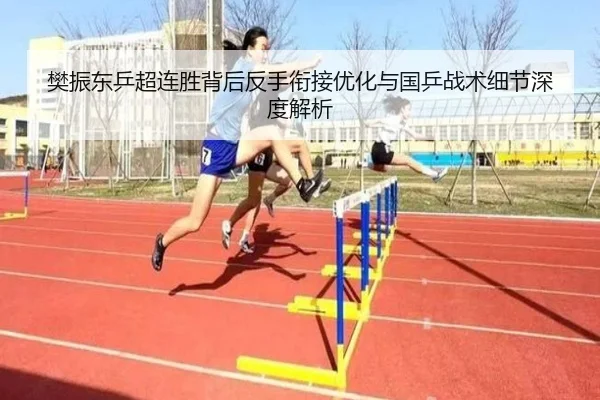 樊振东乒超连胜背后反手衔接优化与国乒战术细节深度解析